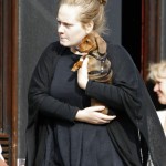 Adele певица Адель и ее собака такса Луи