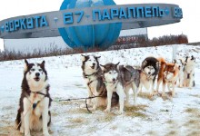 Фотовыставка, посвященная ездовому спорту, хаски