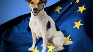 Вывоз собаки за границу требования ЕС