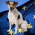 Вывоз собаки за границу требования ЕС