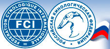 логотип РКФ