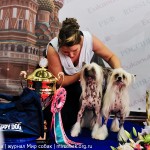 Выставка собак Россия 2012 фото бестов лучшая собака