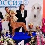 Выставка собак Россия 2012 фото бестов лучшая собака бест