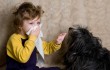 Аллергия на собак собаки для аллергиков