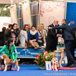 Выставка собак Евразия 2013 бест лабрадор Etu Asto Mondoro