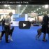 Выставка собак Евразия 2013 видео бестов